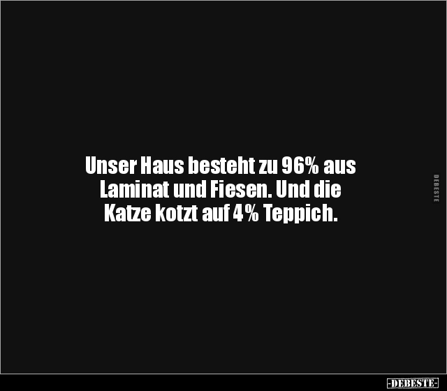 Unser Haus besteht zu 96% aus Laminat und Fiesen. Und die.. - Lustige Bilder | DEBESTE.de