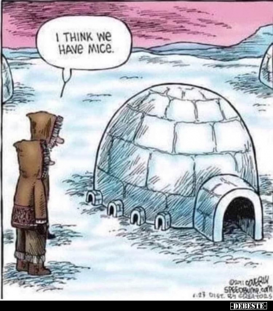  - Lustige Bilder | DEBESTE.de