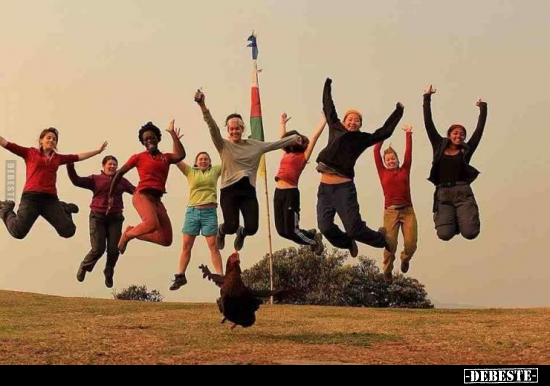  - Lustige Bilder | DEBESTE.de