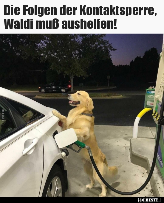 Die Folgen der Kontaktsperre, Waldi muß aushelfen!..