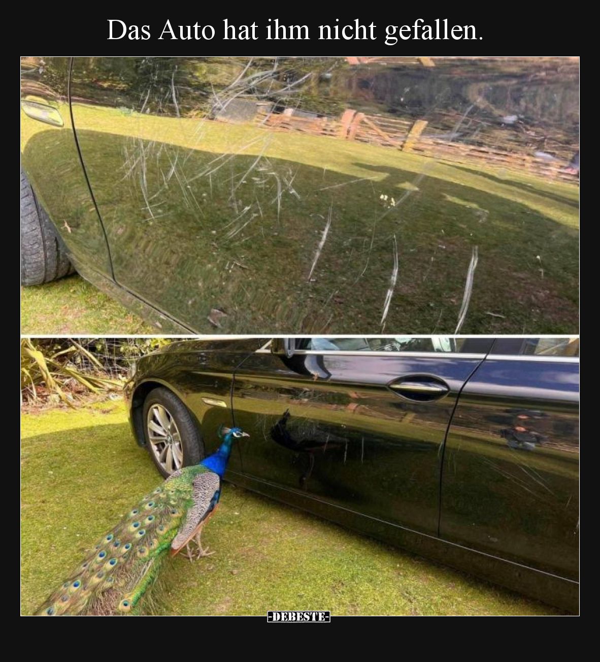Das Auto hat ihm nicht gefallen.