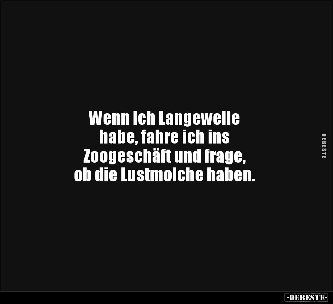 Wenn ich Langeweile 
habe, fahre ich ins 
Zoogeschäft und frage, 
ob die Lustmolche haben.