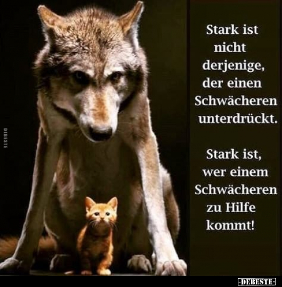 Stark ist nicht derjenige, der einen Schwächeren.. - Lustige Bilder | DEBESTE.de