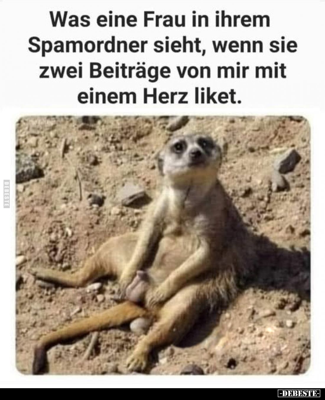 Was eine Frau in ihrem Spamordner sieht, wenn sie zwei Beiträge von mir mit einem Herz liket.