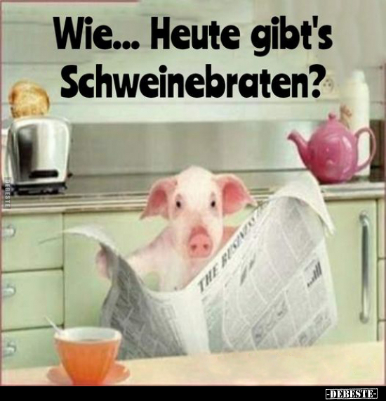 Wie... Heute gibt's Schweinebraten?.. - Lustige Bilder | DEBESTE.de