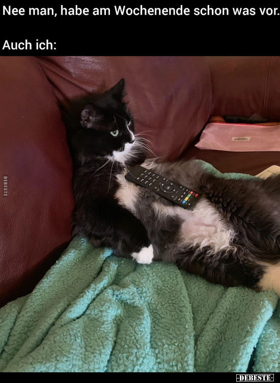 Nee man, habe am Wochenende schon was vor. Auch ich:
