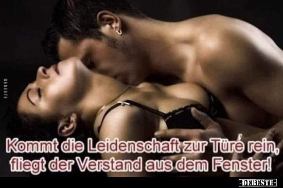 Kommt die Leidenschaft zur Türe rein, fliegt der Verstand aus dem Fenster!