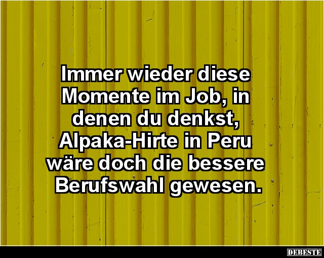 Immer wieder diese  Momente im Job, in denen du denkst.. - Lustige Bilder | DEBESTE.de