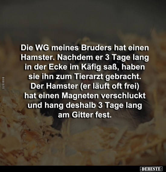 Die WG meines Bruders hat einen Hamster.. - Lustige Bilder | DEBESTE.de