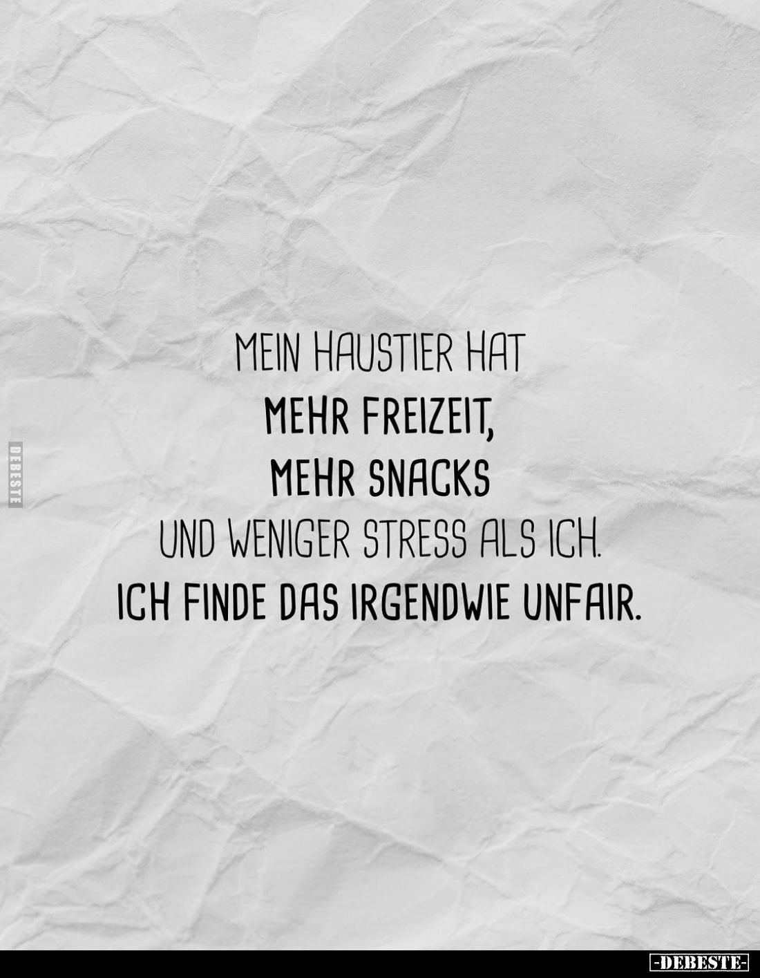 Mein Haustier hat mehr Freizeit, mehr Snacks und weniger Stress als ich. Ich finde das irgendwie unfair.