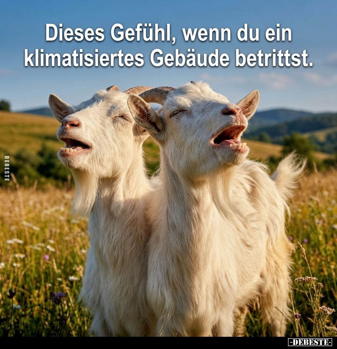Dieses Gefühl, wenn du ein klimatisiertes Gebäude betrittst.