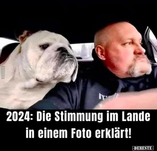 2024: Die Stimmung im Lande in einem Foto erklärt!.. - Lustige Bilder | DEBESTE.de