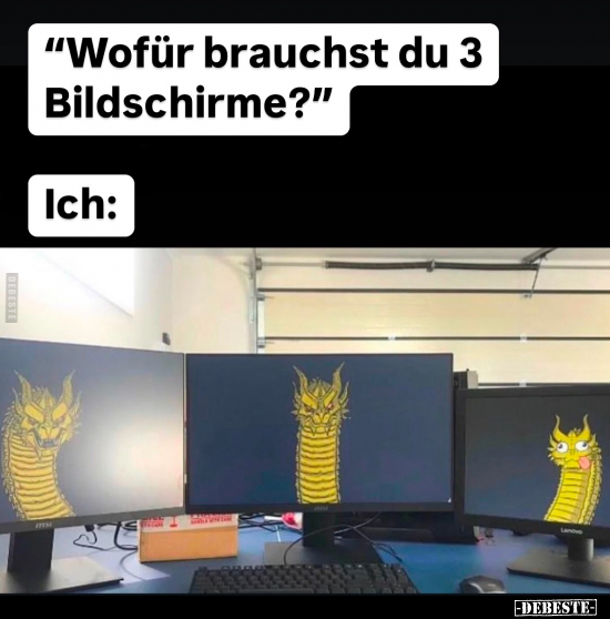 "Wofür brauchst du 3 Bildschirme?".. - Lustige Bilder | DEBESTE.de