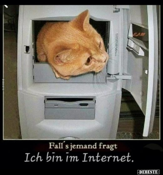 Fall's jemand fragt Ich bin im Internet... - Lustige Bilder | DEBESTE.de