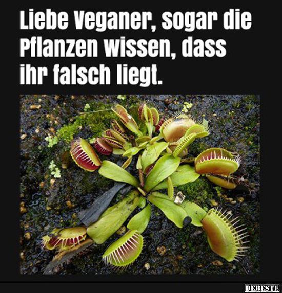  Liebe Veganer, sogar die Pflanzen wissen.. - Lustige Bilder | DEBESTE.de