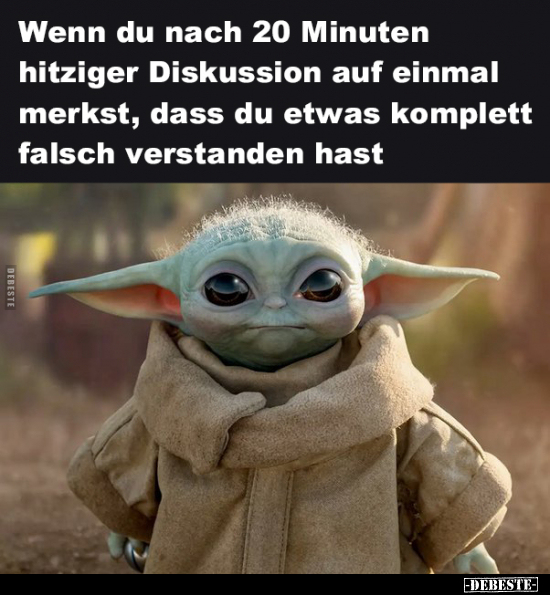 Wenn du nach 20 Minuten hitziger Diskussion auf einmal merkst, dass du etwas komplett falsch verstanden hast