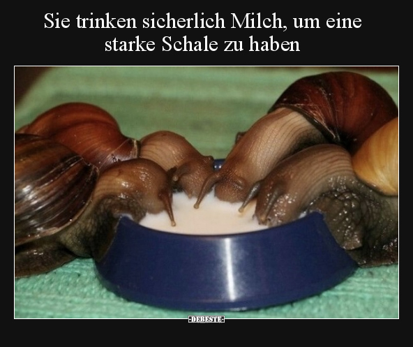 Sie trinken sicherlich Milch, um eine starke Schale zu.. - Lustige Bilder | DEBESTE.de