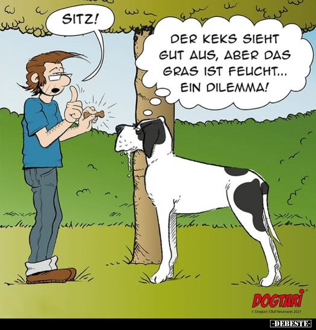 Sitz!
Der Keks sieht gut aus, aber das Gras ist feucht... ein Dilemma!