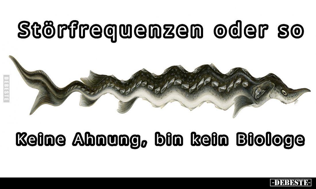 Störfrequenzen oder so.

Keine Ahnung, bin kein Biologe