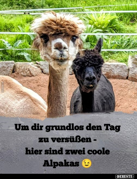 Um dir grundlos den Tag zu versüßen.. - Lustige Bilder | DEBESTE.de