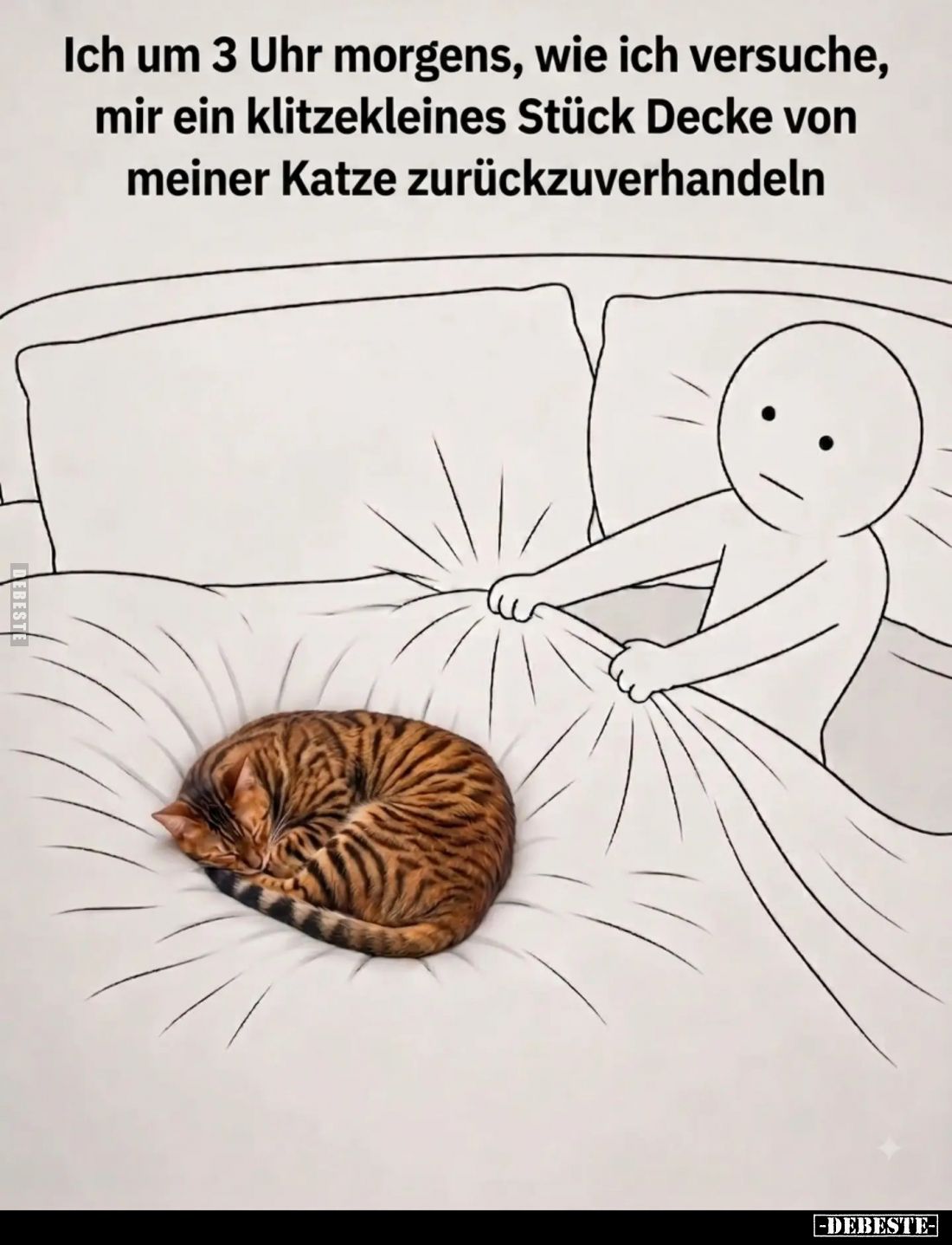 Ich um 3 Uhr morgens, wie ich versuche, mir ein klitzekleines Stück Decke von meiner Katze zurückzuverhandeln.