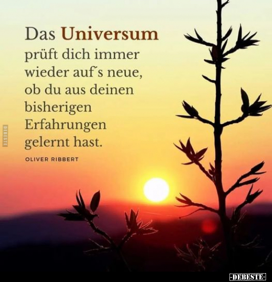 Das Universum prüft dich immer wieder auf's neue.. - Lustige Bilder | DEBESTE.de