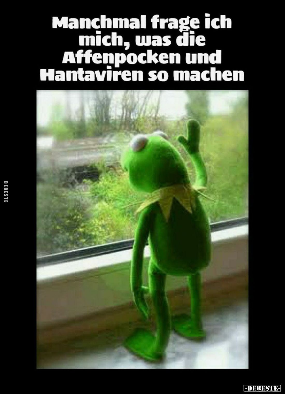 Manchmal frage ich mich, was die Affenpocken... - Lustige Bilder | DEBESTE.de