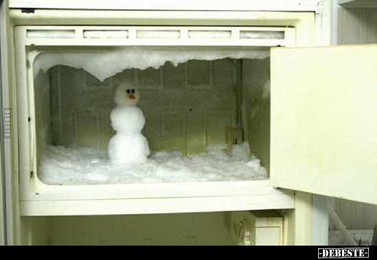  - Lustige Bilder | DEBESTE.de