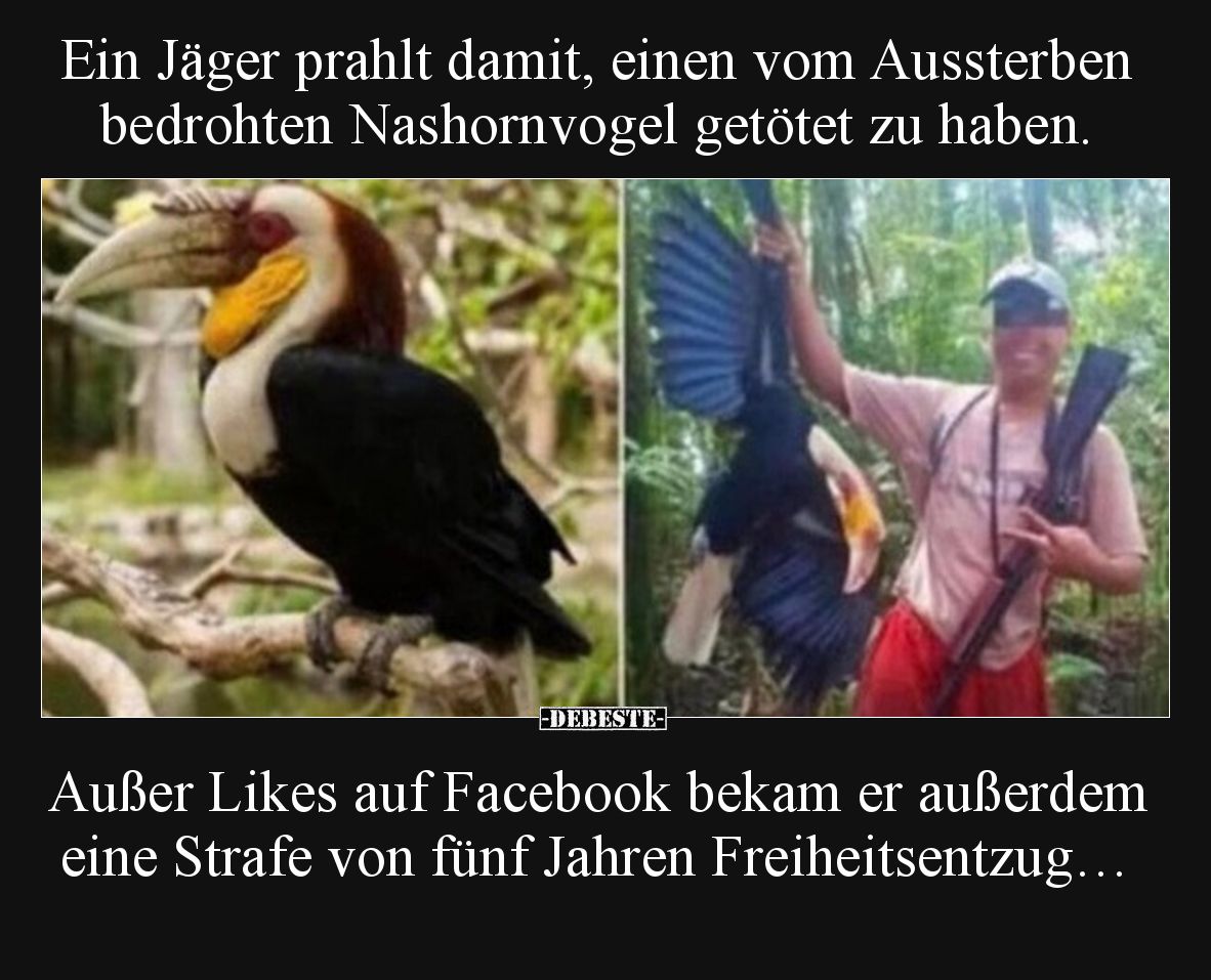 Ein Jäger prahlt damit, einen vom Aussterben bedrohten Nashornvogel getötet zu haben.

Außer Likes auf Facebook bekam er au...