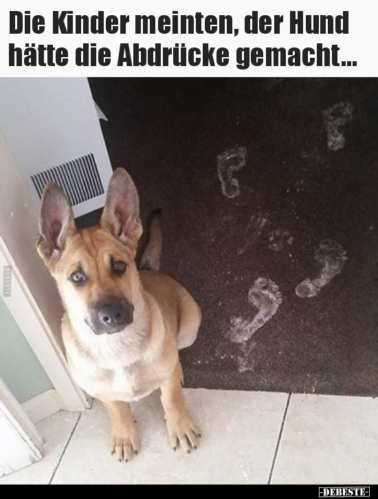 Die Kinder meinten, der Hund hätte die Abdrücke..
