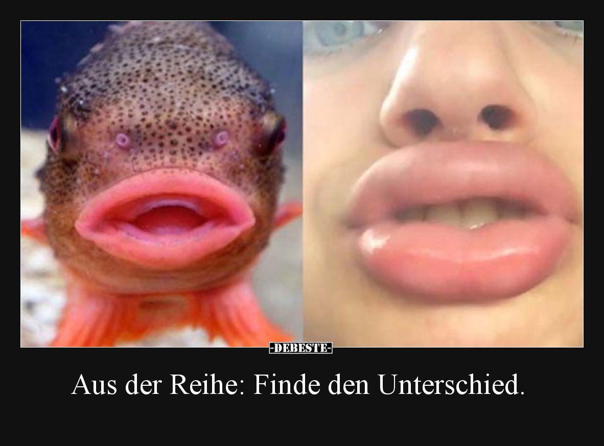 Aus der Reihe: Finde den Unterschied.