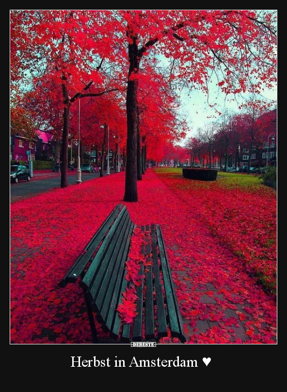 Herbst in Amsterdam.. - Lustige Bilder | DEBESTE.de