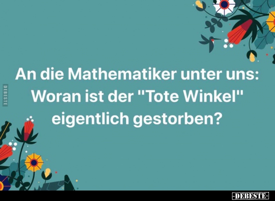 An die Mathematiker unter uns: Woran ist der "Tote Winkel".. - Lustige Bilder | DEBESTE.de