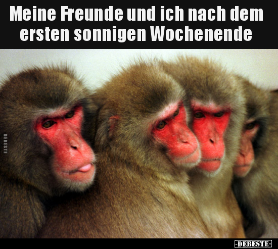 Meine Freunde und ich nach dem ersten sonnigen..