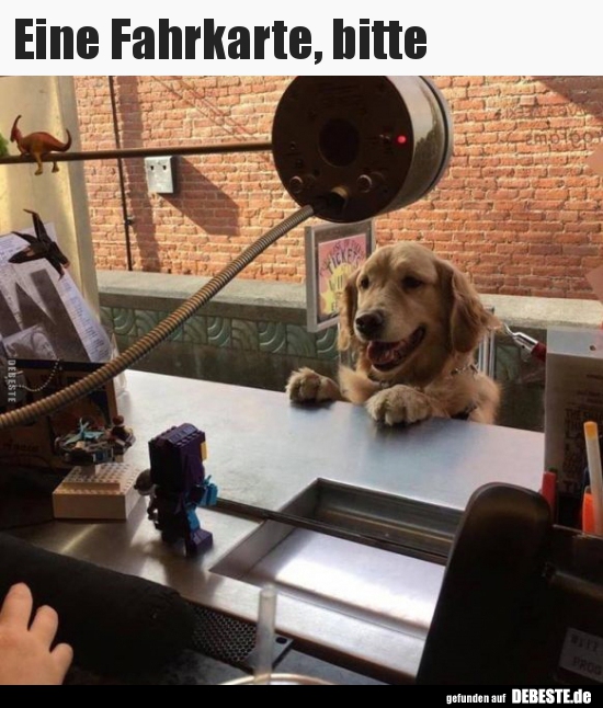 Eine Fahrkarte, bitte..