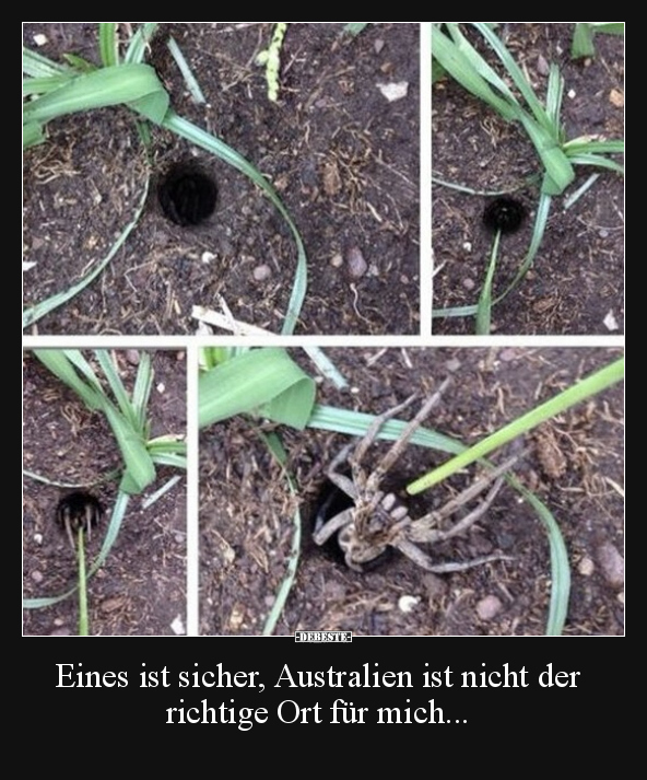 Eines ist sicher, Australien ist nicht der richtige Ort.. - Lustige Bilder | DEBESTE.de