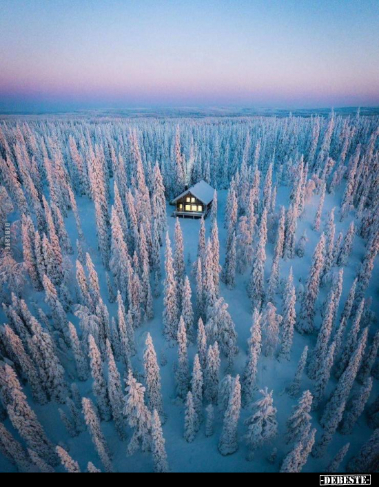  - Lustige Bilder | DEBESTE.de