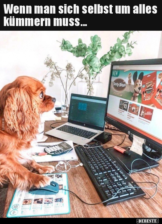 Wenn man sich selbst um alles kümmern muss...