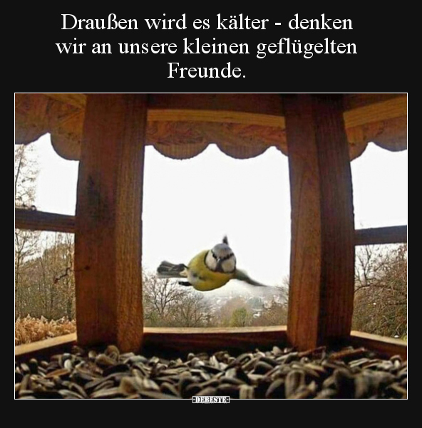 Draußen wird es kälter - denken wir an unsere kleinen geflügelten Freunde