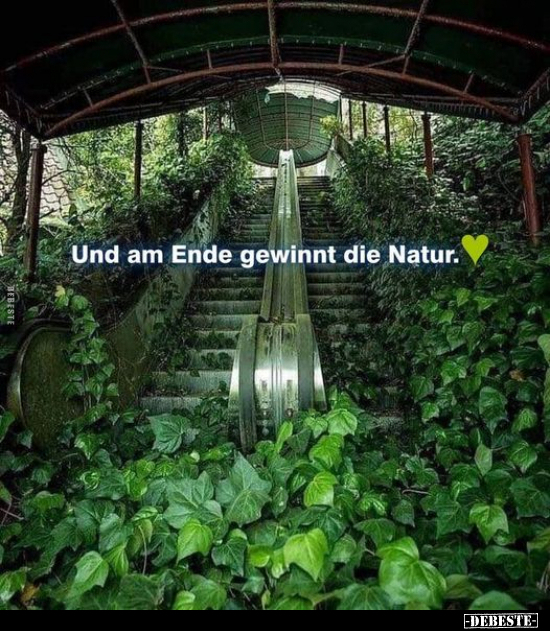 Und am Ende gewinnt die Natur ♥.. - Lustige Bilder | DEBESTE.de