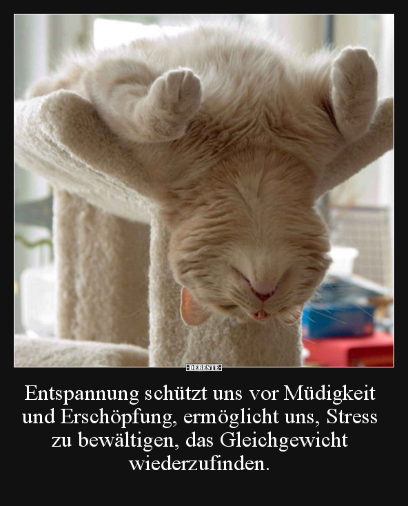 Entspannung schützt uns vor Müdigkeit und Erschöpfung.. - Lustige Bilder | DEBESTE.de