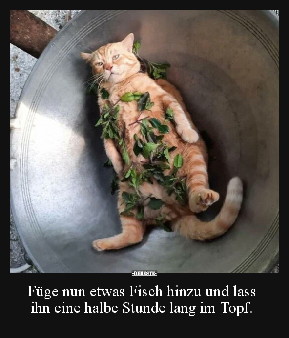 Füge nun etwas Fisch hinzu und lass ihn eine halbe Stunde.. - Lustige Bilder | DEBESTE.de