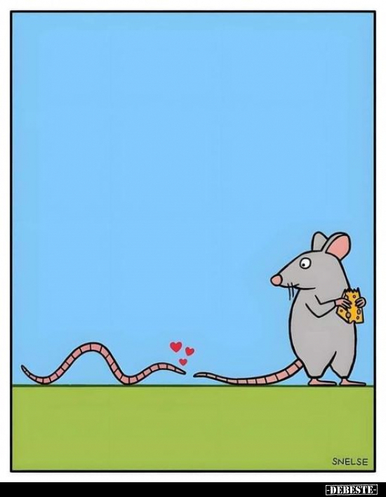  - Lustige Bilder | DEBESTE.de
