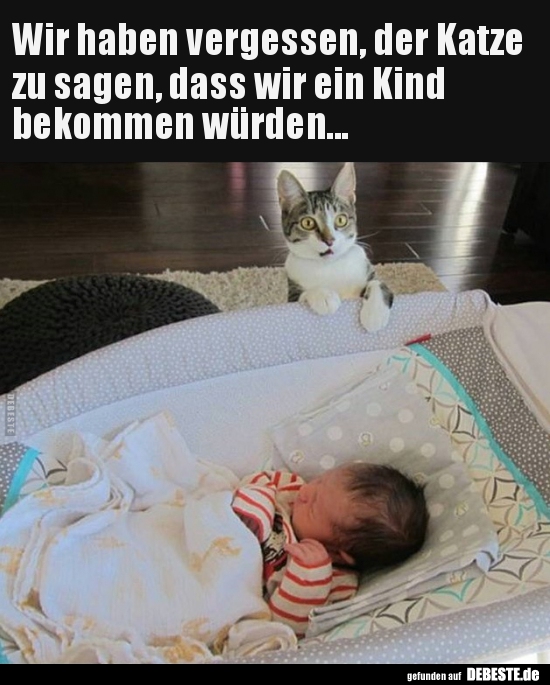 Wir haben vergessen, der Katze zu sagen, dass wir ein Kind..