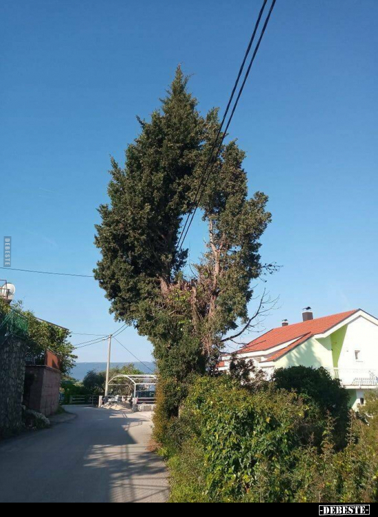  - Lustige Bilder | DEBESTE.de