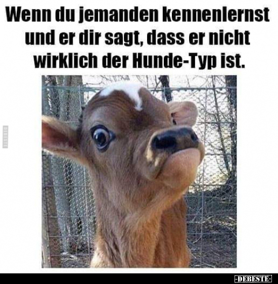 Wenn du jemanden kennenlernst und er dir sagt, dass er..