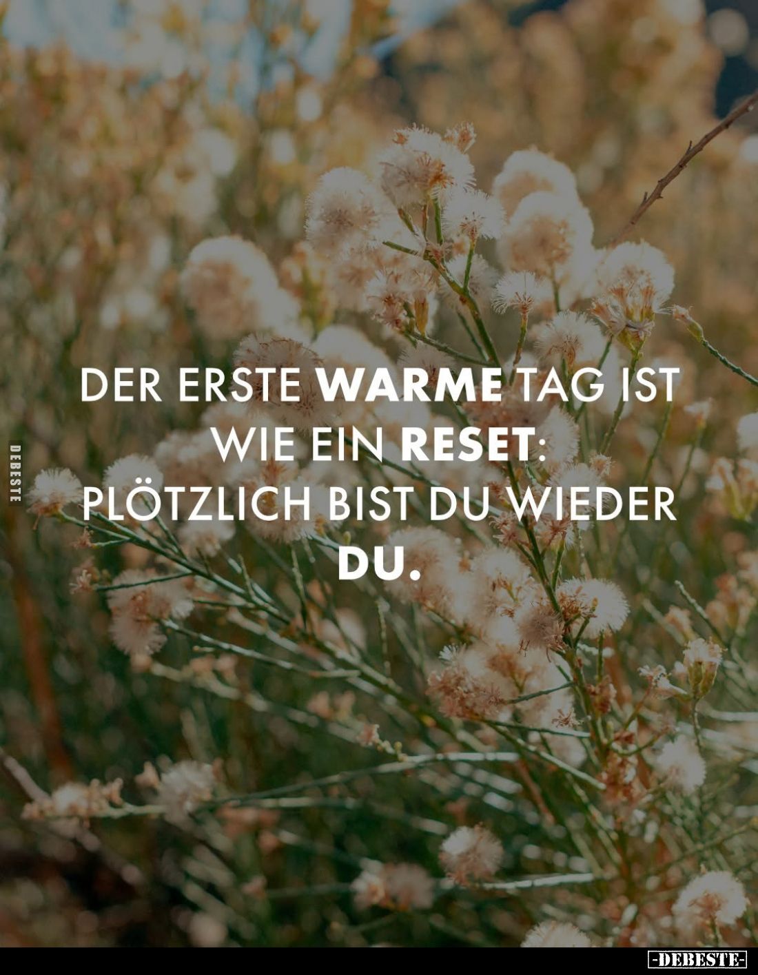 Der erste warme Tag ist wie ein Reset: plötzlich bist du wieder du.
