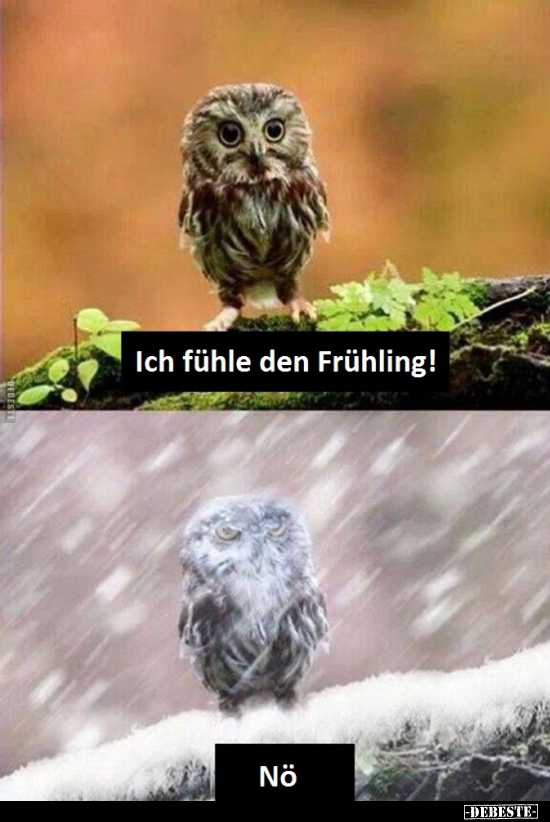 Ich fühle den Frühling!