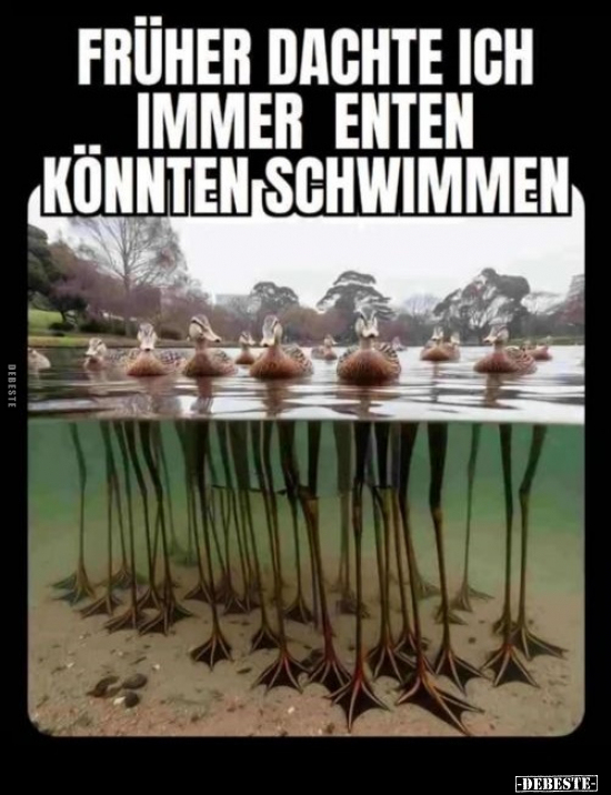 Früher dachte ich immer Enten könnten schwimmen... - Lustige Bilder | DEBESTE.de