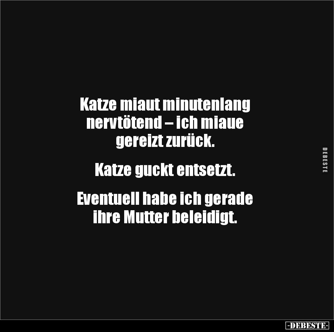 Katze miaut minutenlang 
nervtötend – ich miaue 
gereizt zurück.


Katze guckt entsetzt.


Eventuell habe ich gerade ...